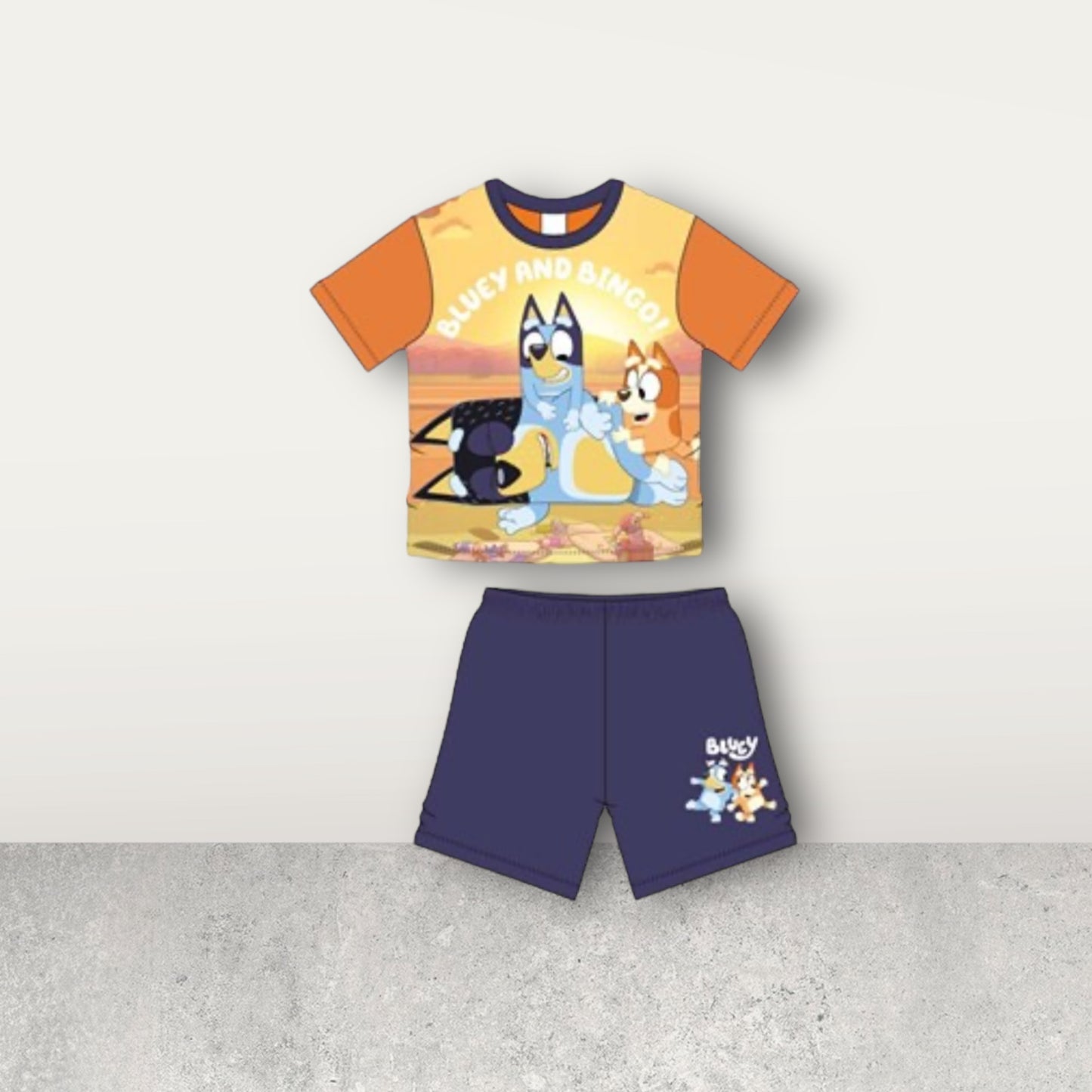 Bluey Short Set